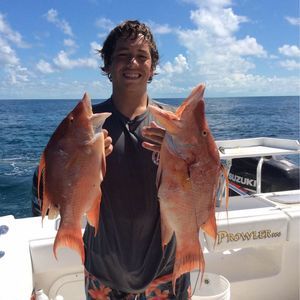 Meet your Posher, Gavin